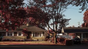 Vivienda familiar, portada del artículo sobre violencia doméstica